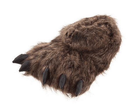 grizzly bear shoes