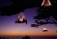 best camping gadgets