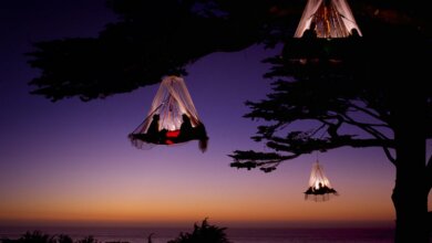 best camping gadgets