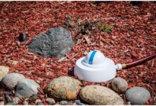 10 Best Gardening Gadgets To Buy For Summer- Droplet