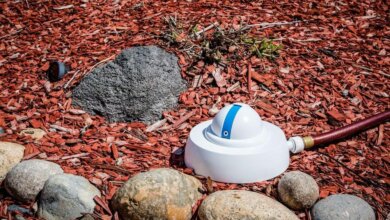10 Best Gardening Gadgets To Buy For Summer- Droplet