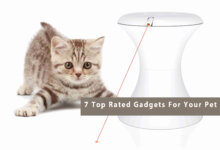7 Top Rated Gadgets For Your Pet