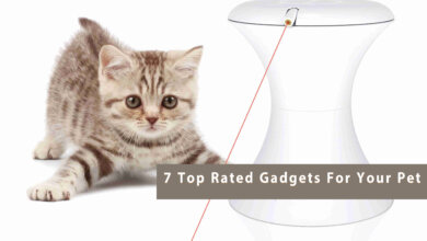 7 Top Rated Gadgets For Your Pet