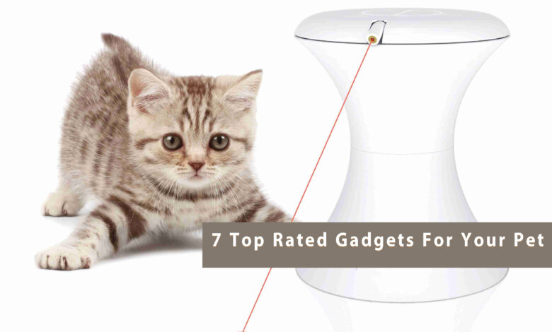 7 Top Rated Gadgets For Your Pet