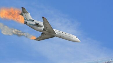 plane crash survivors photos