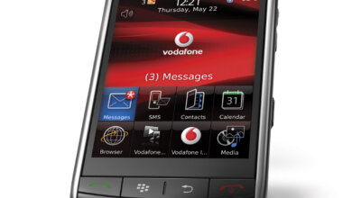 Blackberry Storm
